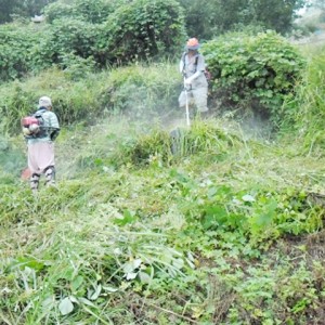 latest image