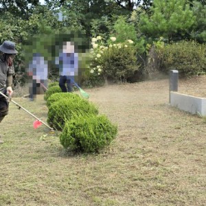 latest image