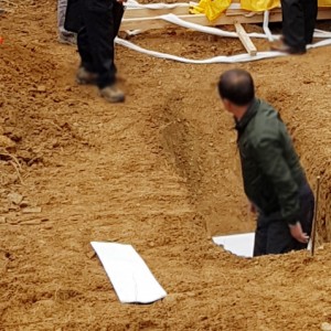 latest image